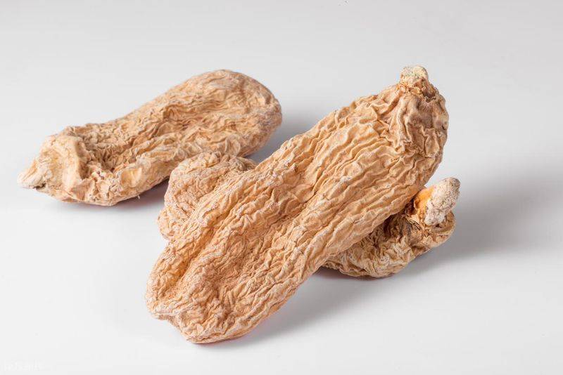 昭通天麻种植技术