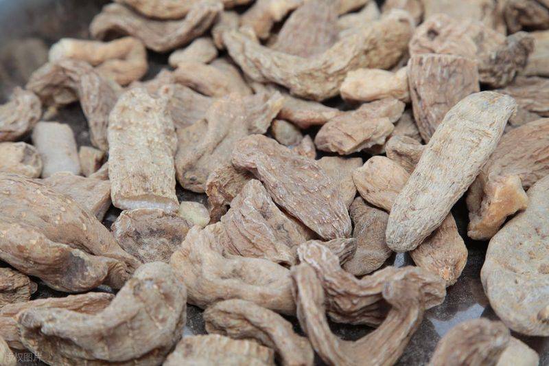 昭通天麻种植技术