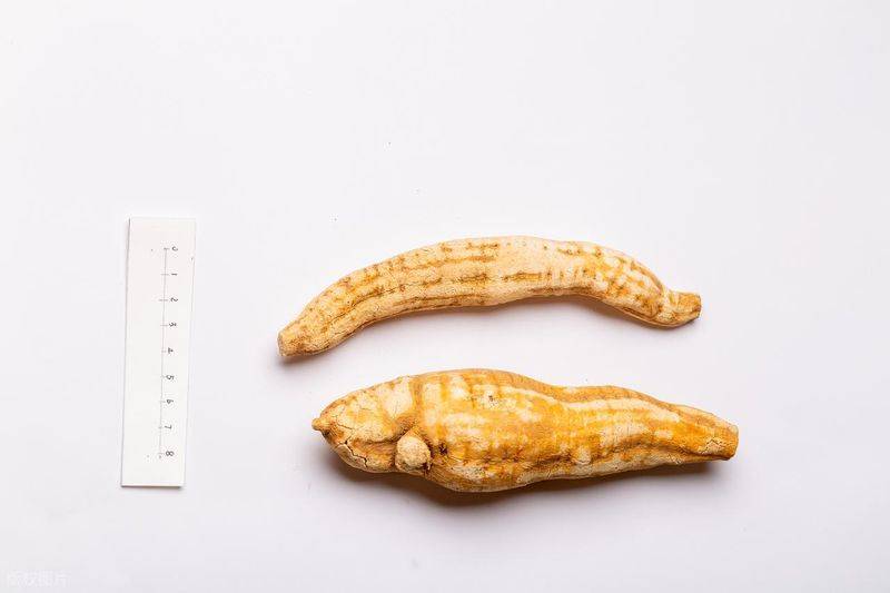 昭通天麻种植技术