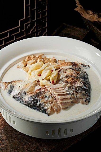 昭通天麻种植技术