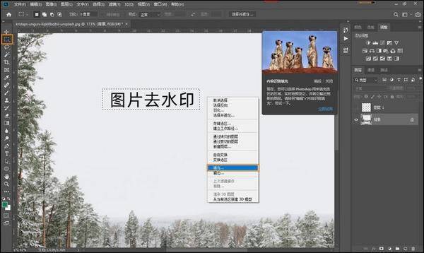 图片去水印方法