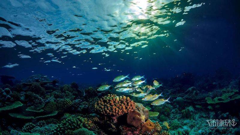 海洋知识竞赛题库