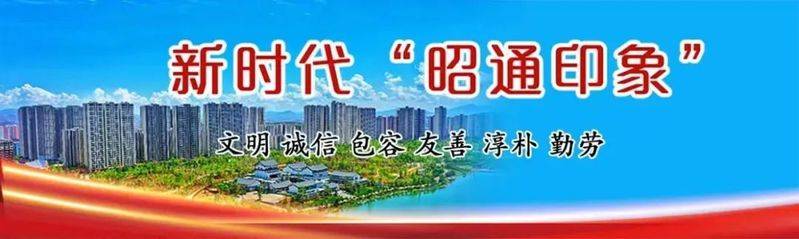 昭通天麻种植技术