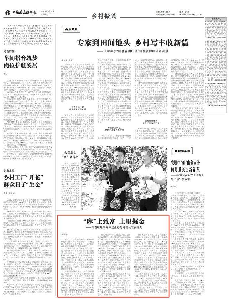 昭通天麻种植技术