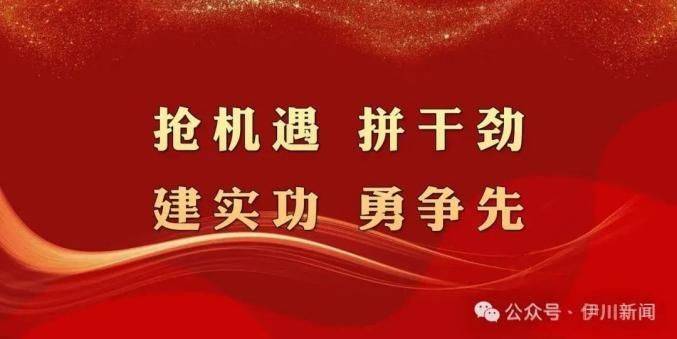 金丝瓜种植技术