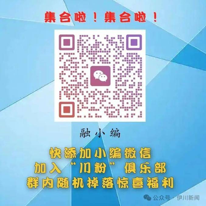 金丝瓜种植技术