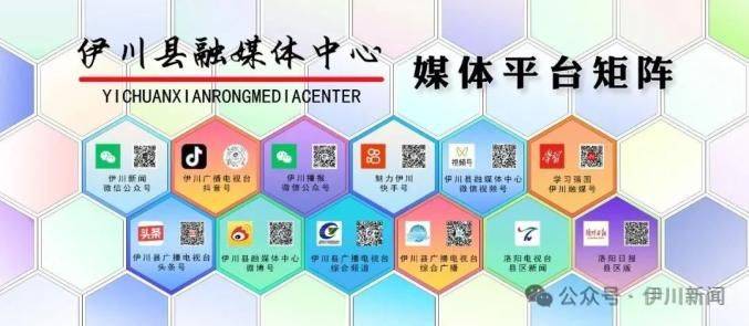 金丝瓜种植技术