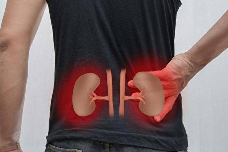 养颜美容的食物老年人养生知识大全