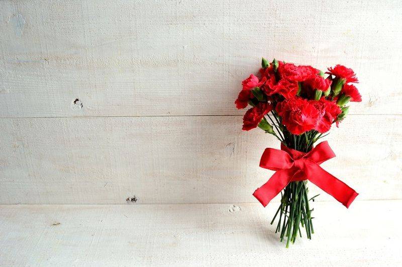 康乃馨种子的种植方法