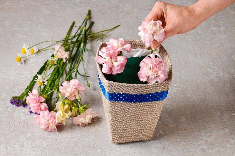 康乃馨种子的种植方法