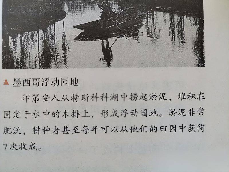 水上种植蔬菜有哪些