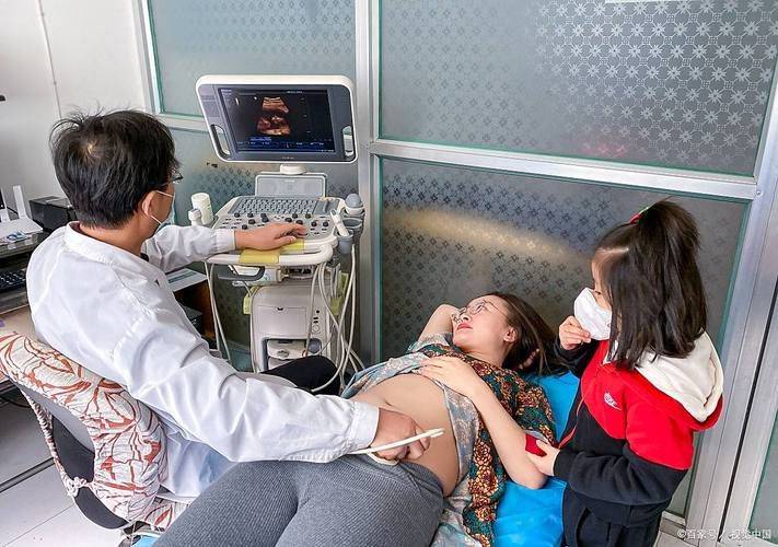 三维彩超多少钱?