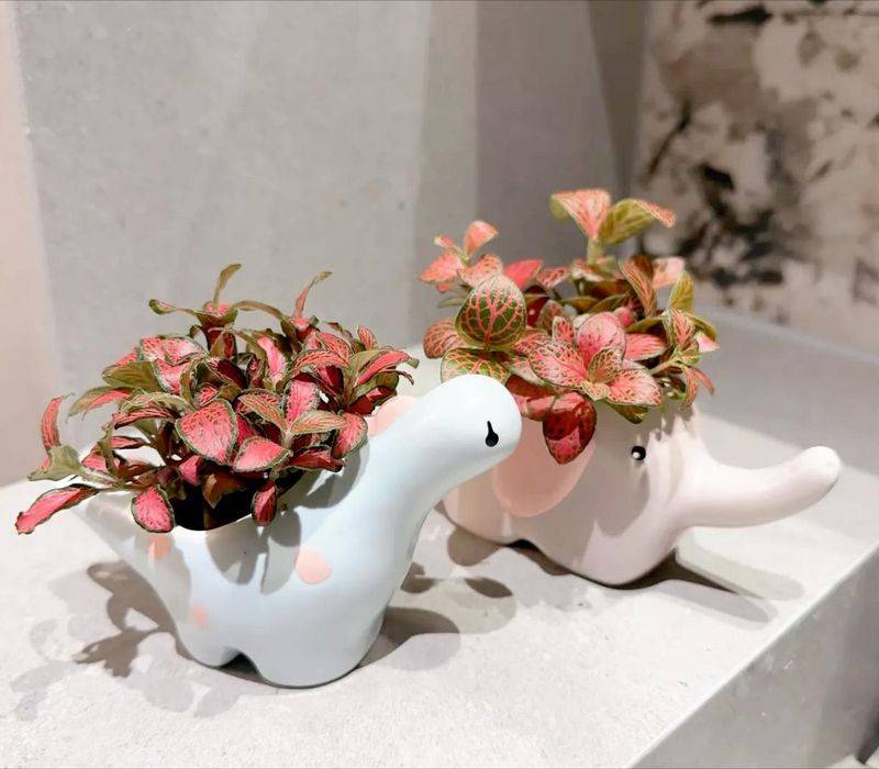 水上种植蔬菜有哪些