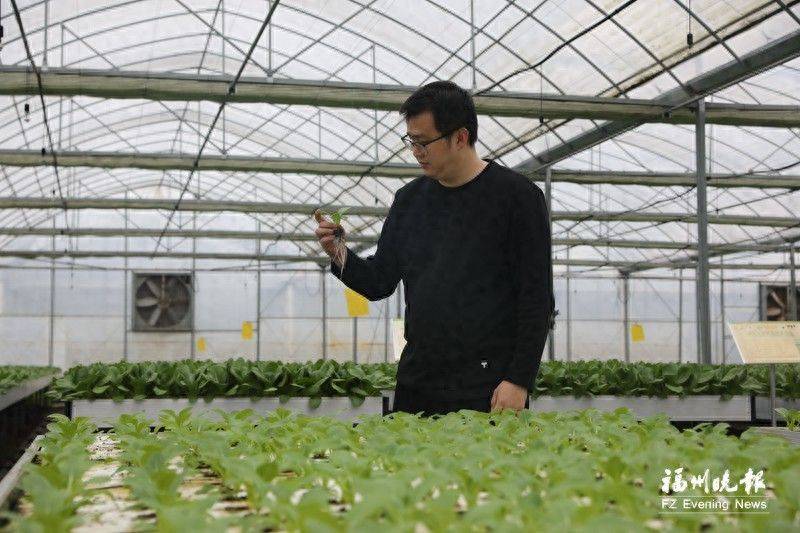 水上种植蔬菜有哪些