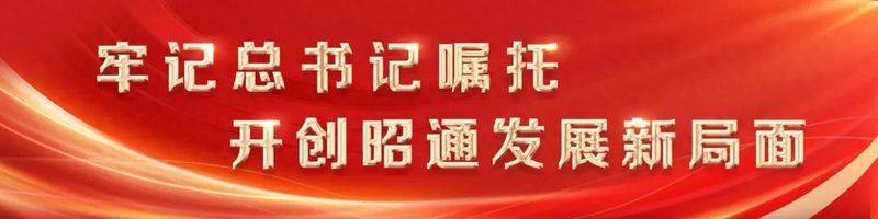 昭通天麻种植技术