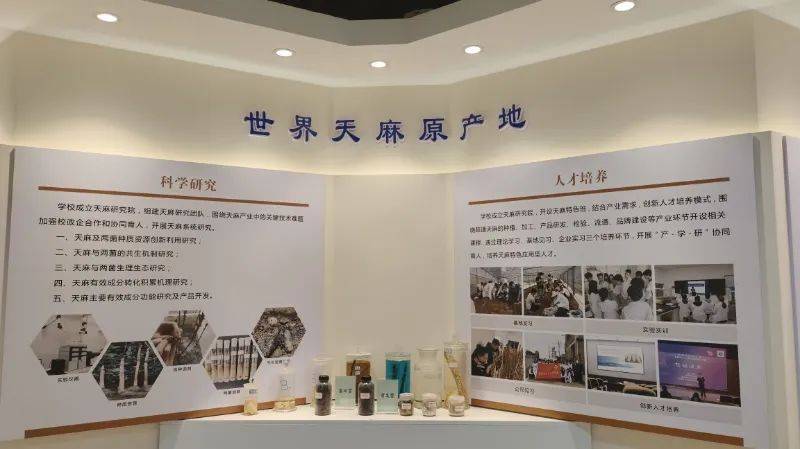 昭通天麻种植技术