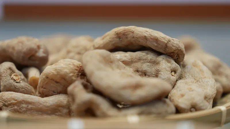 昭通天麻种植技术