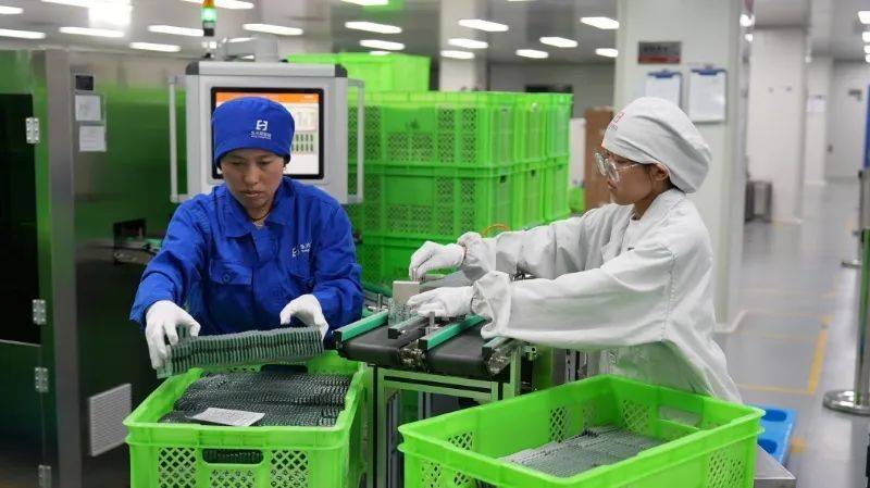 昭通天麻种植技术