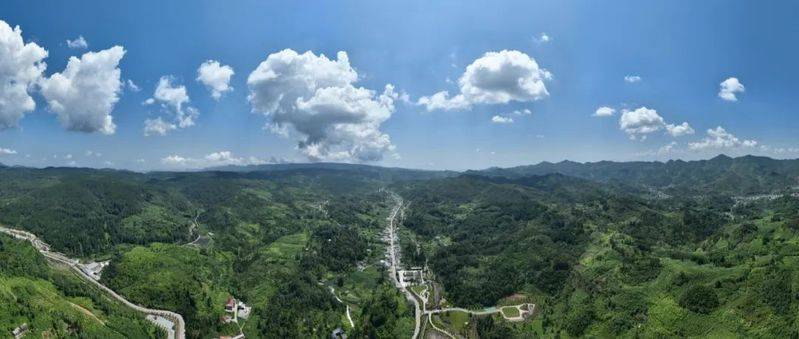 昭通天麻种植技术