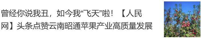 昭通天麻种植技术