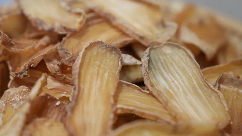 昭通天麻种植技术