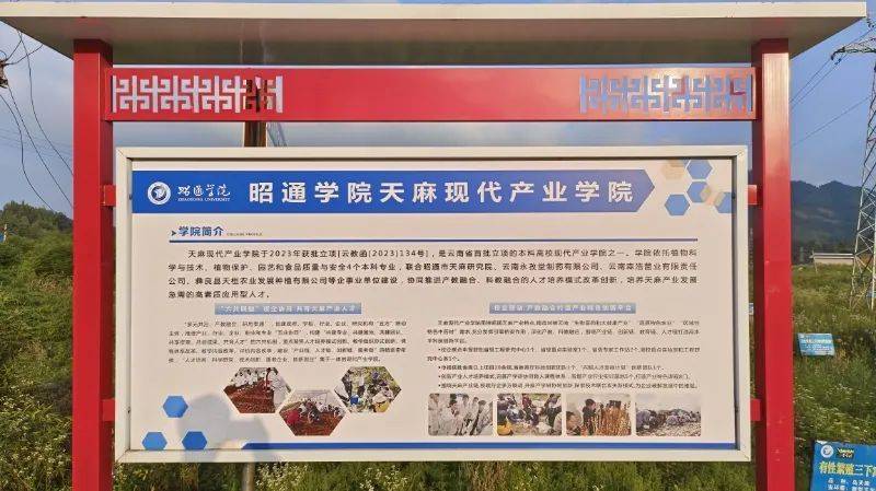 昭通天麻种植技术