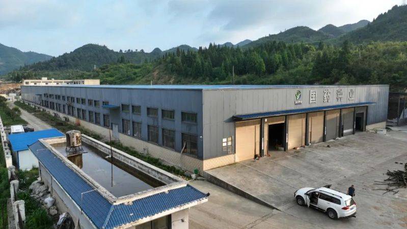 昭通天麻种植技术