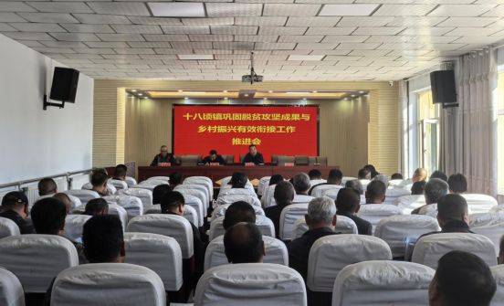 脱贫攻坚经验做法