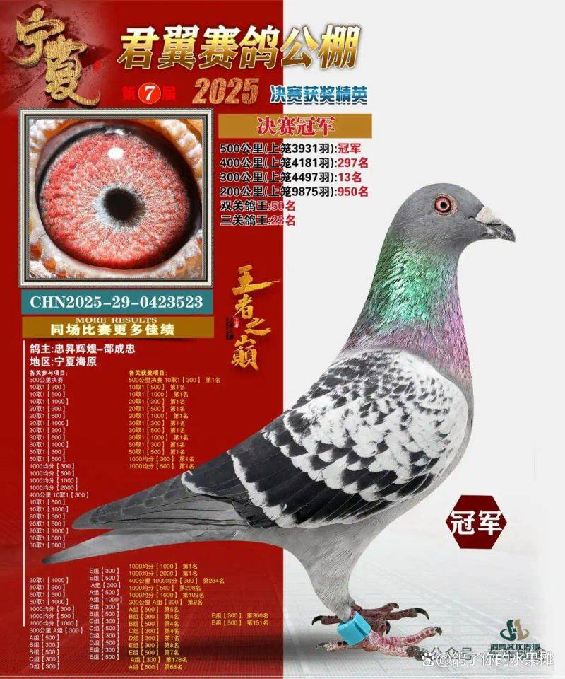 信鸽育种方法和原理