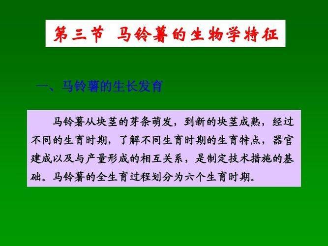 马铃薯的种植技术相同的有哪些