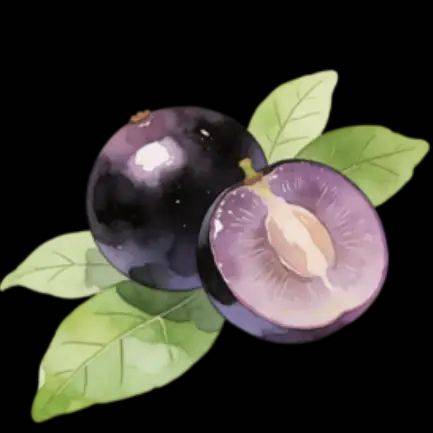 嘉宝果的种植技术