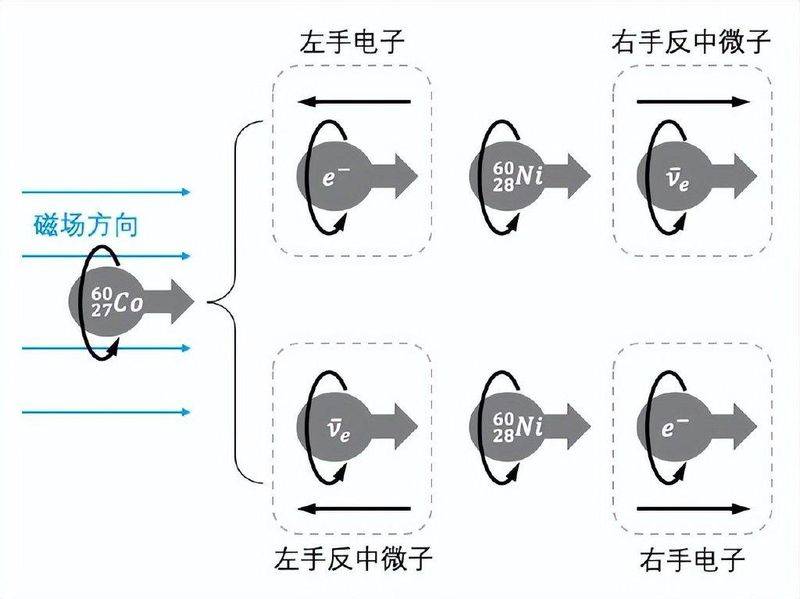 以下不属于初期对宇称不守恒原理验证的实验的难点是