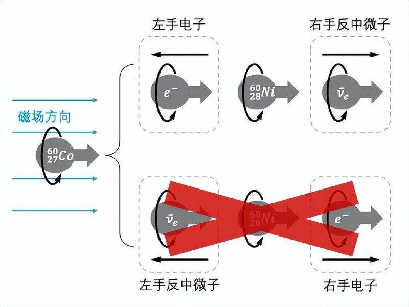 以下不属于初期对宇称不守恒原理验证的实验的难点是