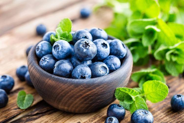 养颜美容的食物老年人养生知识大全