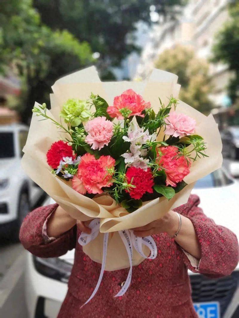 康乃馨种子的种植方法