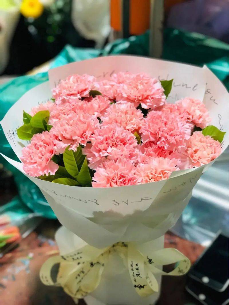 康乃馨种子的种植方法