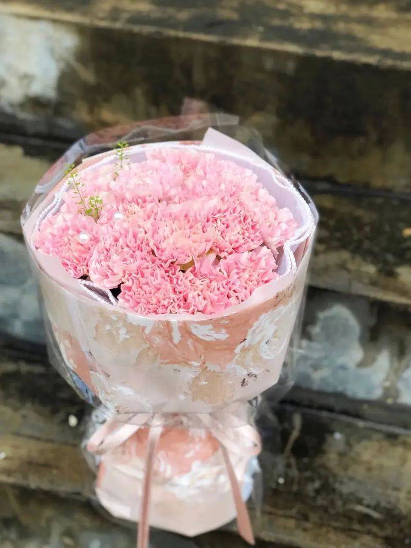 康乃馨种子的种植方法