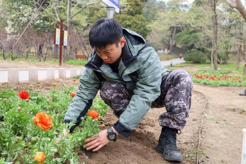 花毛茛种植方法