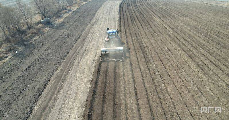 有机农业种植技术