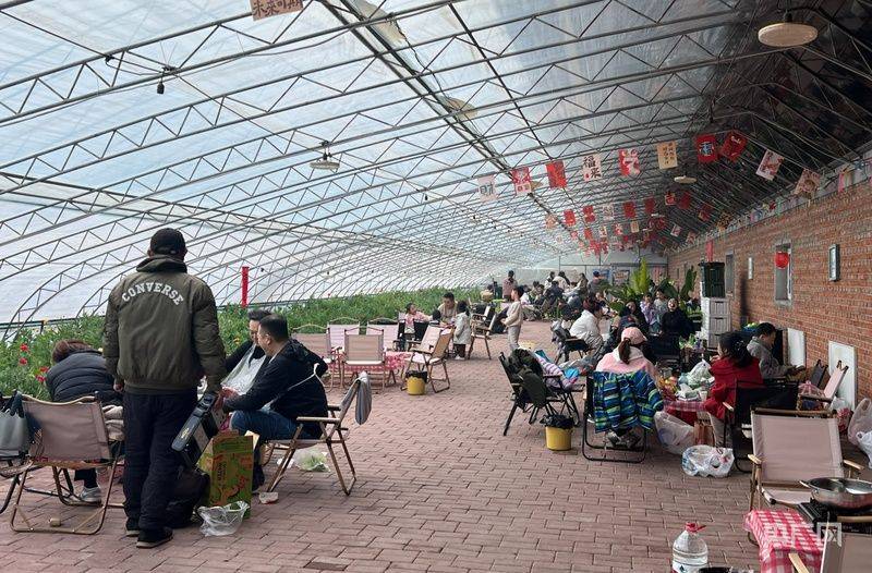 有机农业种植技术