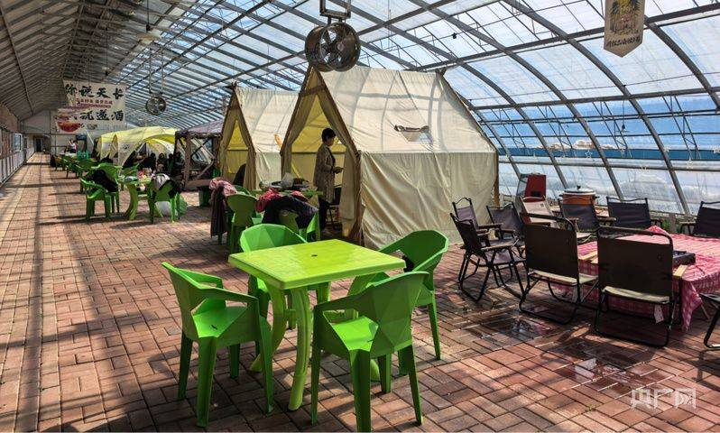 有机农业种植技术