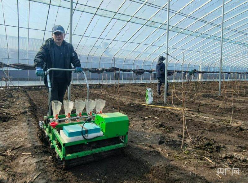 有机农业种植技术