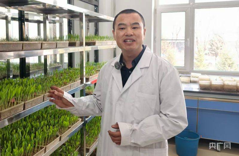 有机农业种植技术