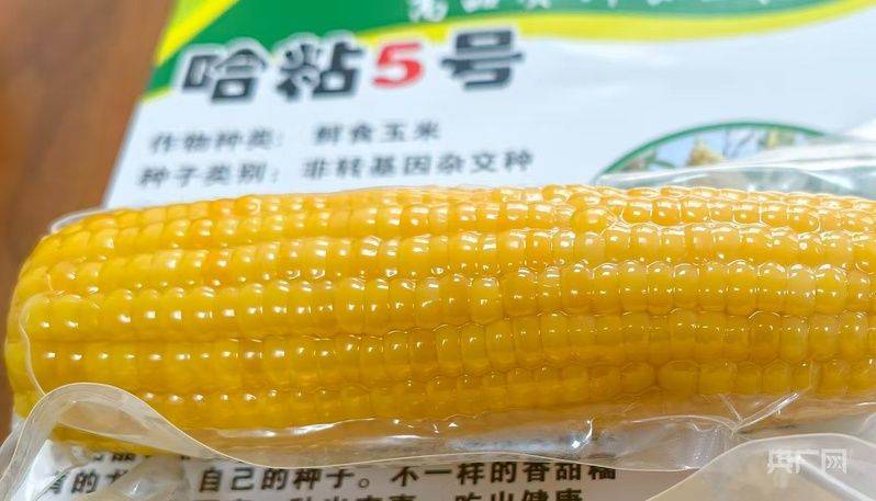 有机农业种植技术