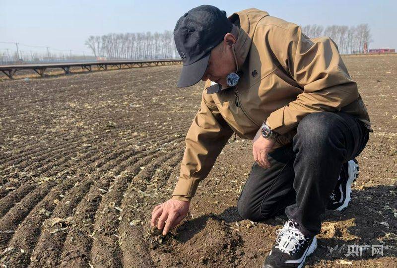 有机农业种植技术