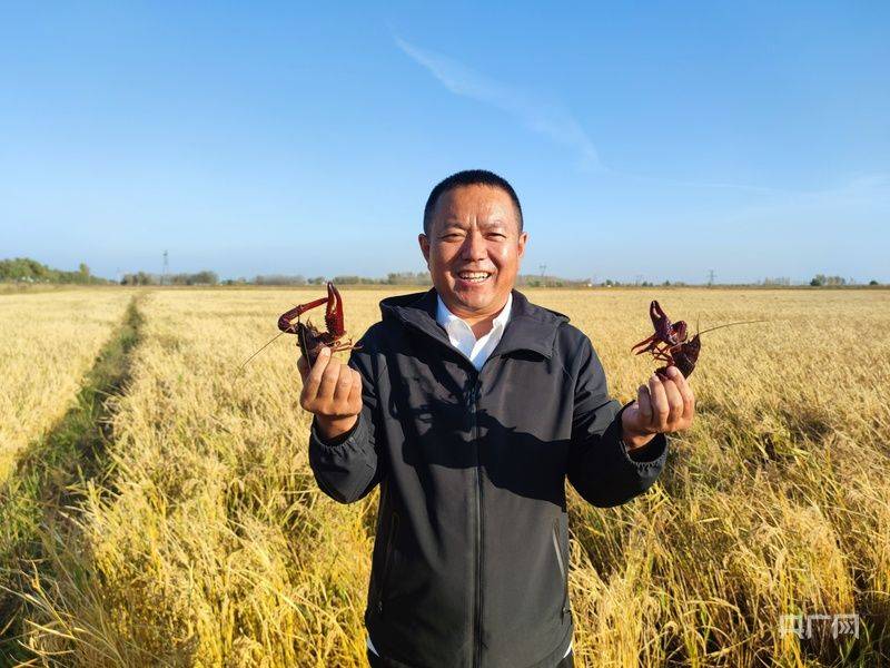 有机农业种植技术