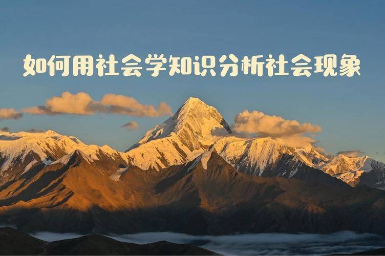 如何应用社会学知识