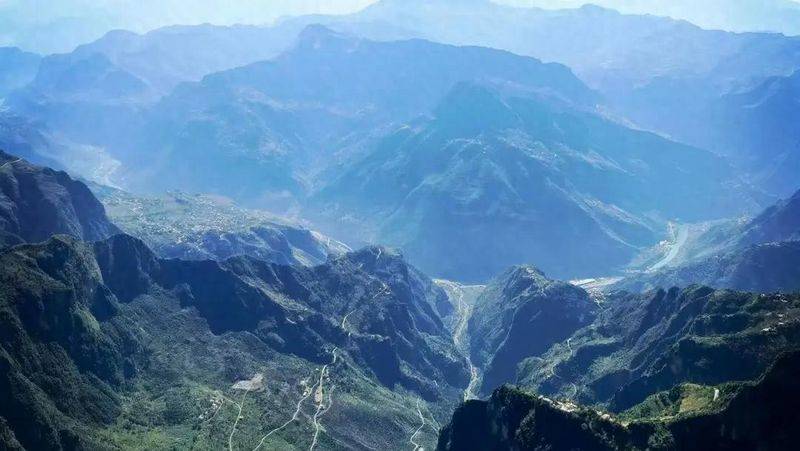 小草坝乌天麻的千年演进史！