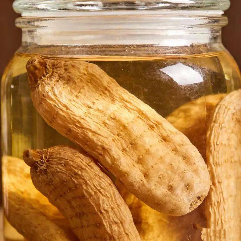 昭通天麻种植技术