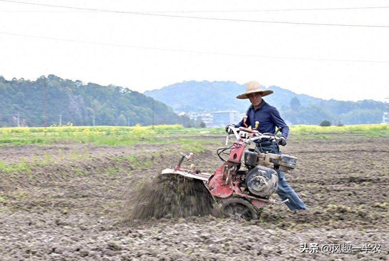 种植蔬菜用什么水肥好
